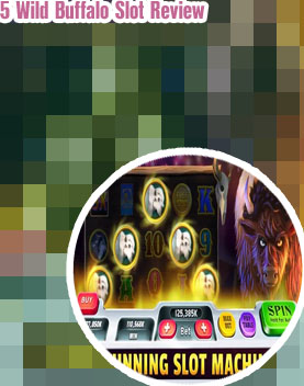 Wild buffalo slot machine